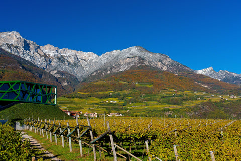 Tramin