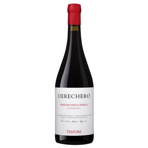 Derechero pre-phylloxera Tempore 2022